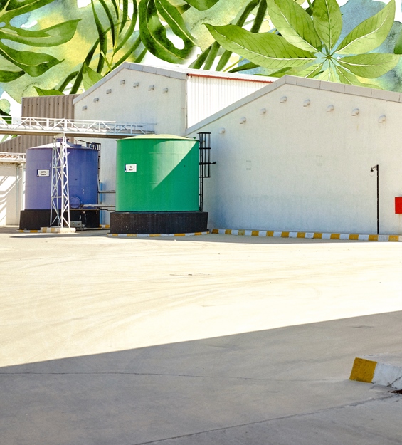 Kilim Group factory yard