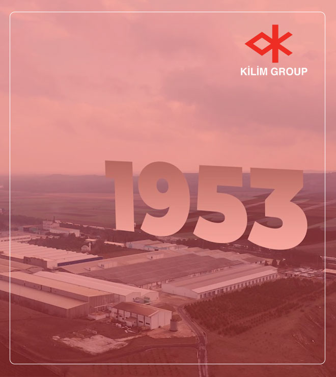 Kilim Group — since 1953